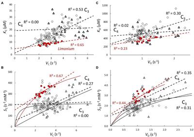 The Coevolution of RuBisCO, Photorespiration, and Carbon Concentrating Mechanisms in Higher Plants